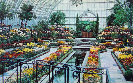 Como Park Conservatory, St. Paul Minnesota, 1960's