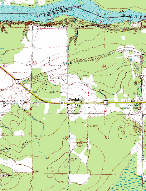 Topographic Map of the Birchdale Minnesota area