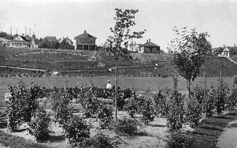 Longyear Park, Coleraine Minnesota, 1915