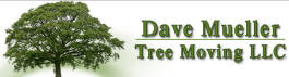 David Mueller Tree Moving Service, Eyota Minnesota