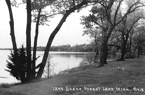 Lake scene, Forest Lake Minnesota, 1940