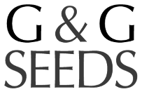 G & G Seeds, Freeport Minnesota