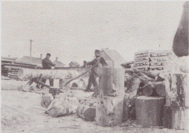 Cutting wood in Nashwauk Minnesota in 1908  site of former elementary school.