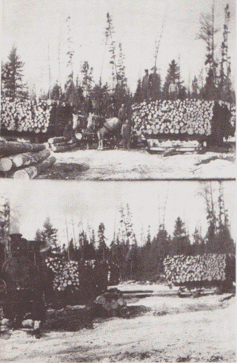 Top picture shows horse loading and yarding" in the woods, the latter term meaning pulling loads together. These loads were hauled by the Sturgeon Timber Company with C.W. Latvala as manager. The trips were made between Sturgeon Lake and Alexander. Bottom picture illustrates a steam hauler pulling the pulpwood loads. This engine could haul a maximum of 12 loads, but generally carried 10. These two-tiered loads were 16 feet wide, and ran almost a carload of wood to each sleigh. The photographs were taken in 1912.
