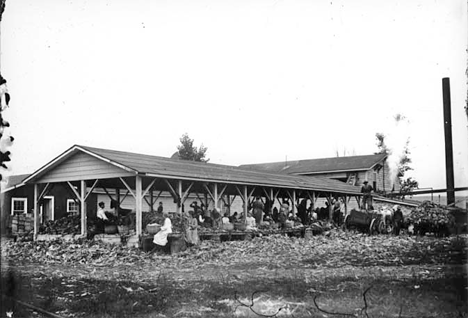 Goodhue Canning Company, Kenyon Minnesota, 1900