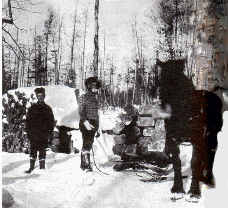 Axel Morency and Joe Gauvreau shown skidding logs near Nashwauk Minnesota