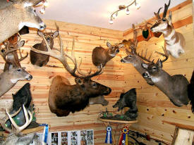 Trophy Time Taxidermy, Pequot Lakes Minnesota