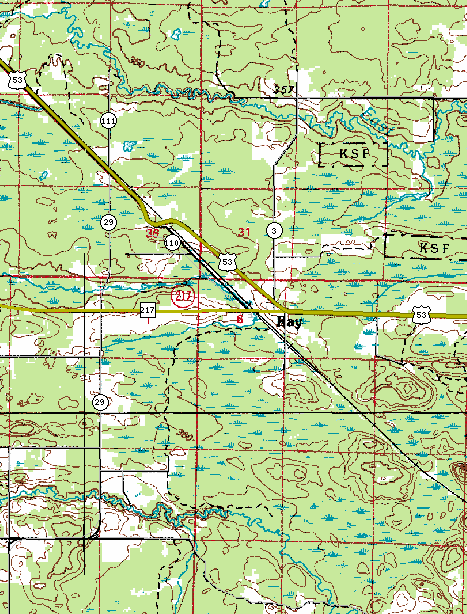 Topographic Map of the Ray Minnesota area