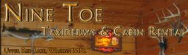 Nine Toe Taxidermy and Cabin Rental