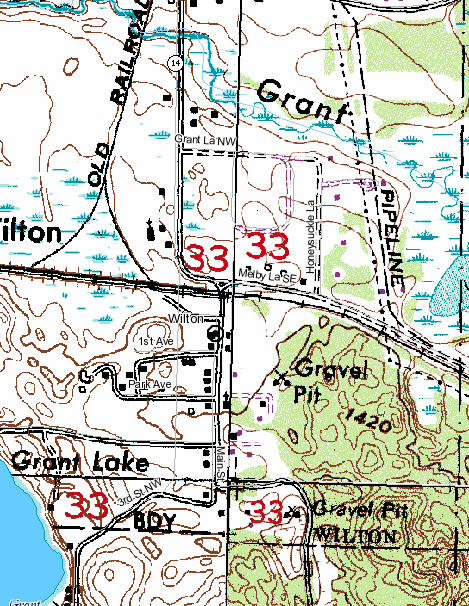 Topographic map of Wilton Minnesota