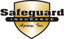 Safeguard Insurance Inc