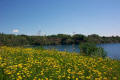 Lake Ore-Be-Gone, Gilbert MN
