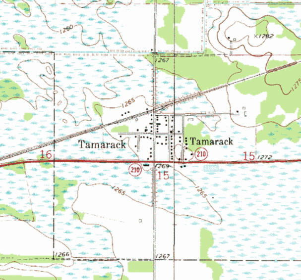 Topographic map of the Tamarack Minnesota area