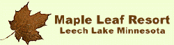Maple Leaf Resort Leech Lake Walker Minnesota