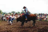 North Star Rodeo, Effie Minnesota
