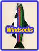 Fishy Windsocks