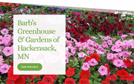Barb's Greenhouse and Gardens, Hackensack Minnesota