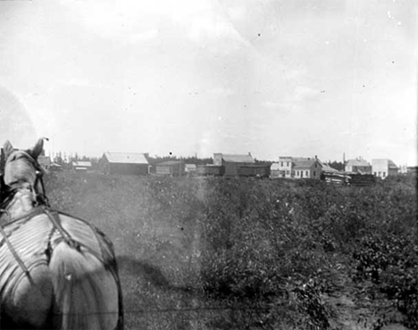 General view, Jenkins Minnesota, 1900