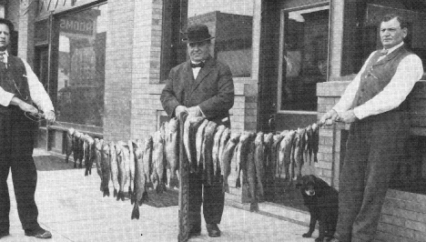 Fish from Lake Bemidji in 1902. 
