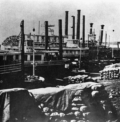 Public Landing with Ariel, Milwaukee, and other boats pictured, St. Paul, Minnesota, 1860