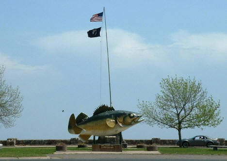 Giant walleye in Garrison Minnesota, 2007