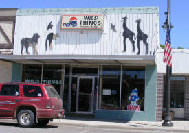 Wild Things Pizzeria & Deli, Mora Minnesota