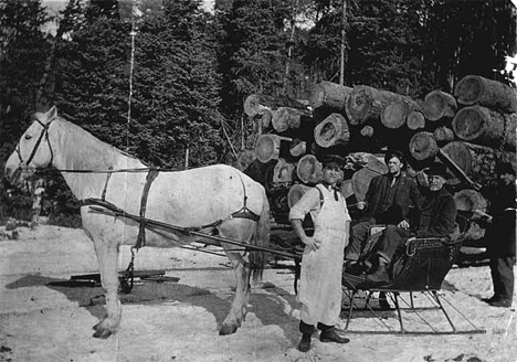 Hauling logs for the Conner & Wilson logging company near Akeley, 1900