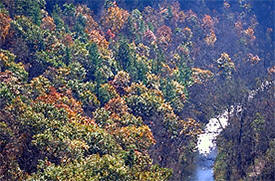 Whitewater State Park, Altura Minnesota