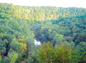 Lazy D Campground, Altura Minnesota