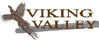 Viking Valley Hunt Club