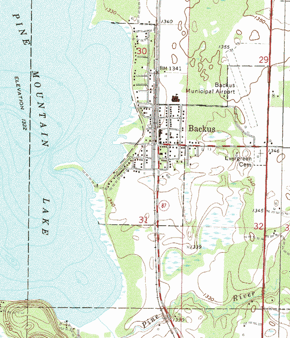 Topographic map of the Backus Minnesota area