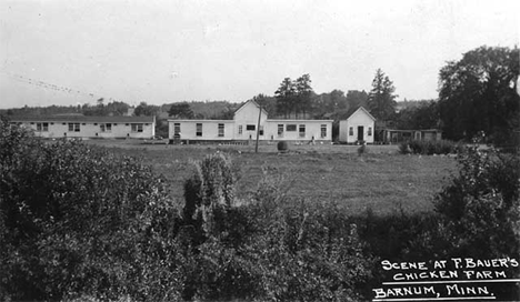 Frank Bauer's Chicken farm, near Barnum Minnesota, 1920