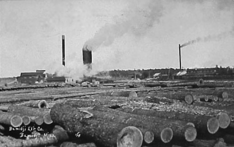 Bemidji Lumber Company, Bemidji Minnesota, 1910