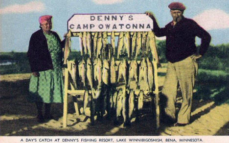 A days catch at Denny's Resort,Lake Winnibigoshish, Bena Minnesota, 1940's