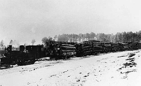 Tractor pulling sleds loaded with logs in the Pine Island area west of Big Falls, 1902