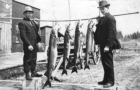 Fish from Big Falls, 1919