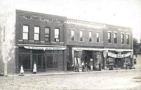 Street scene, Blooming Prairie Minnesota, 1900's