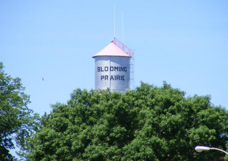 Water Tower, Blooming Prairie Minnesota, 2010