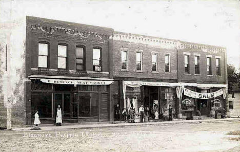 Street View, Blooming Prairie Minnesota, 1911