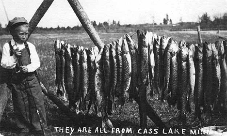 String of fish from Cass Lake, 1920