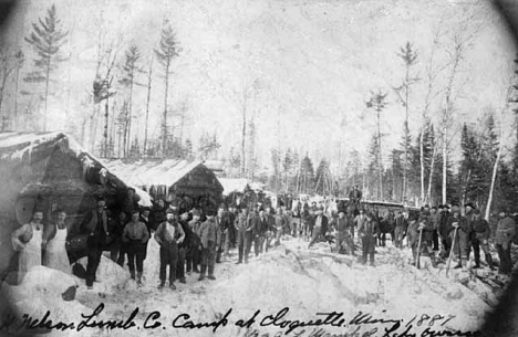Logging camp on Stoney Brook near Cloquet Minnesota, operated by C. N. Nelson Lumber Company, 1887