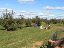 Apple Ridge Orchard, Mazeppa Minnesota