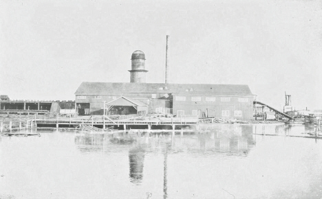 Sawmill, Deer River Minnesota, 1916