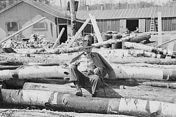 Lumberjack resting on pile of logs, near Effie, Minnesota, 1937
