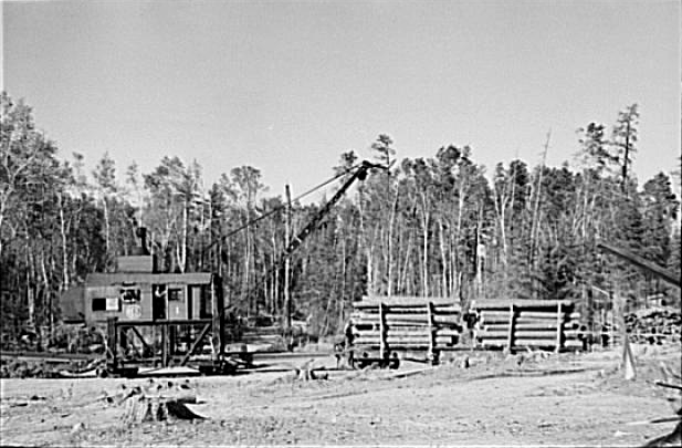 Loading device moving railroad cars full of timber at camp near Effie, Minnesota, 1937