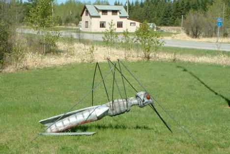 Giant Mosquito, Effie Minnesota, 2003