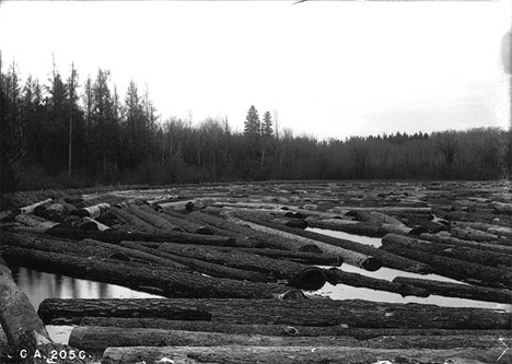 Logs in boom, Elbow Lake Minnesota, 1901