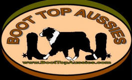 Boot Top Aussies, Elmore Minnesota