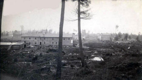 Early Ely Minnesota; buildings and street through trees and stumps, 1888