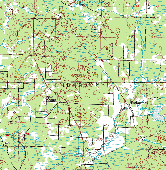 Topographic map of the Embarrass Township Minnesota area